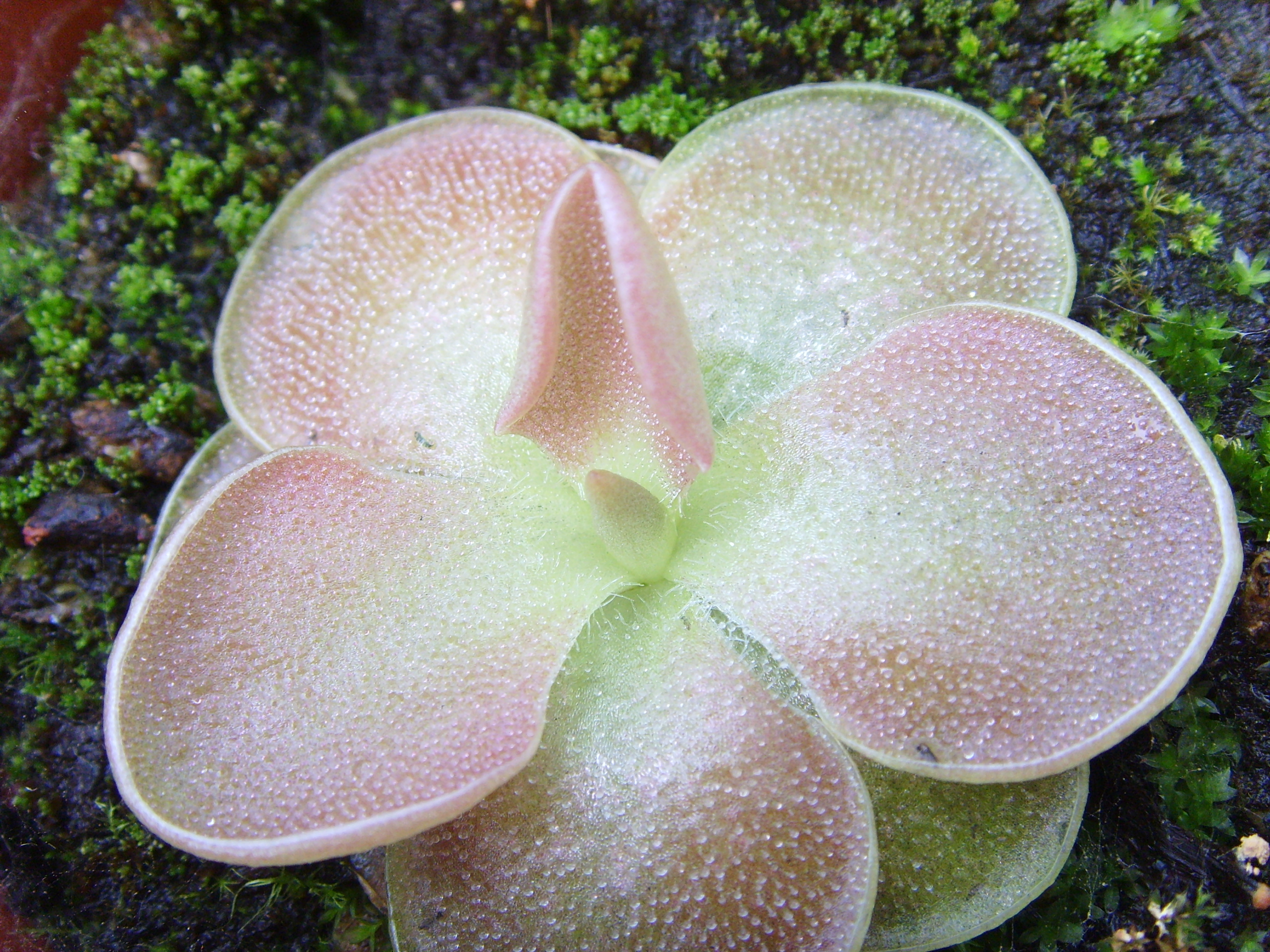 상품이미지 최대 사이즈