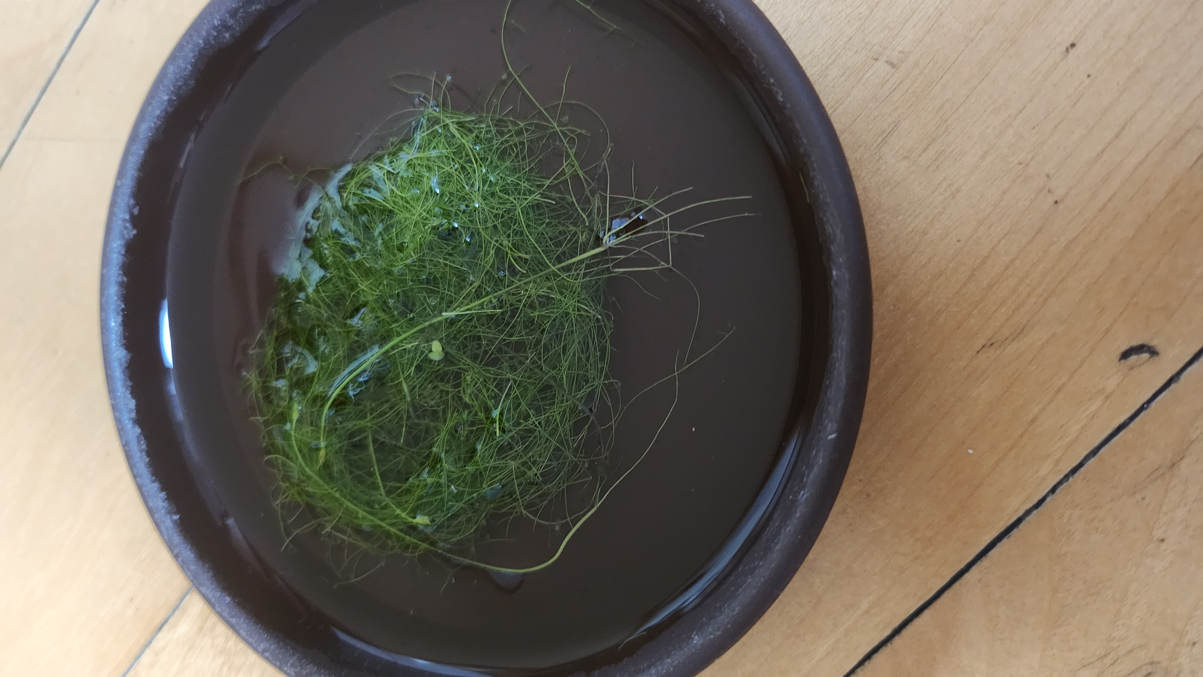 예뻐요 
